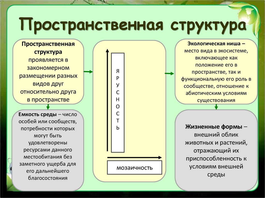 Пространственная структура
