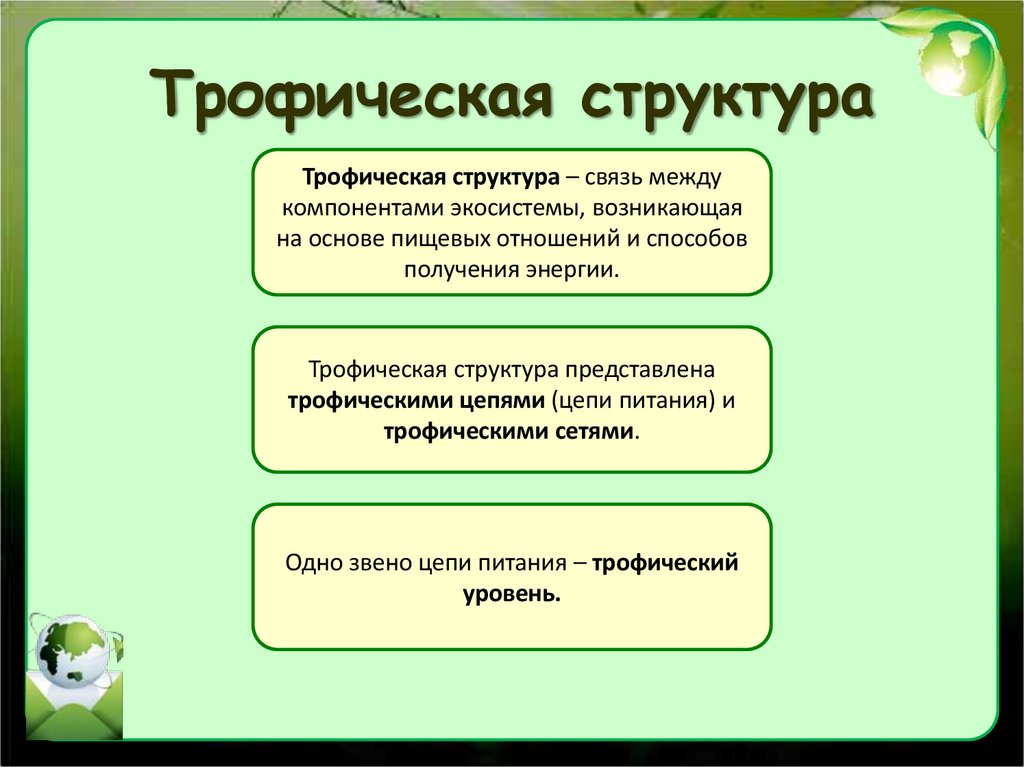 Трофическая структура