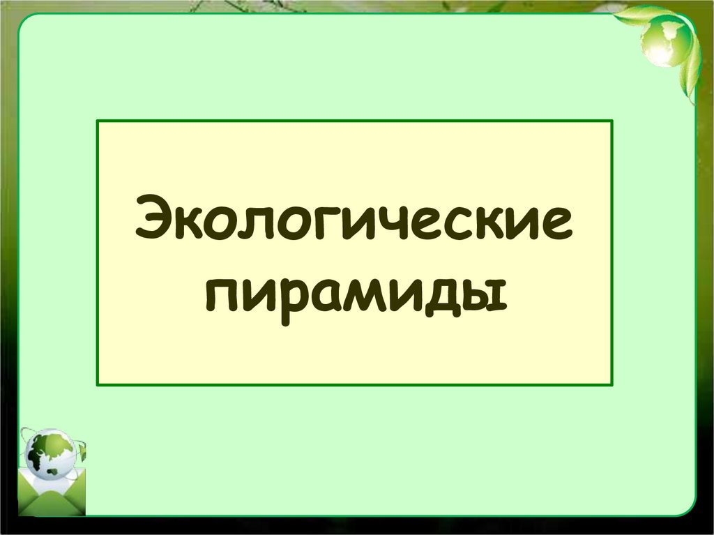 Экологические пирамиды