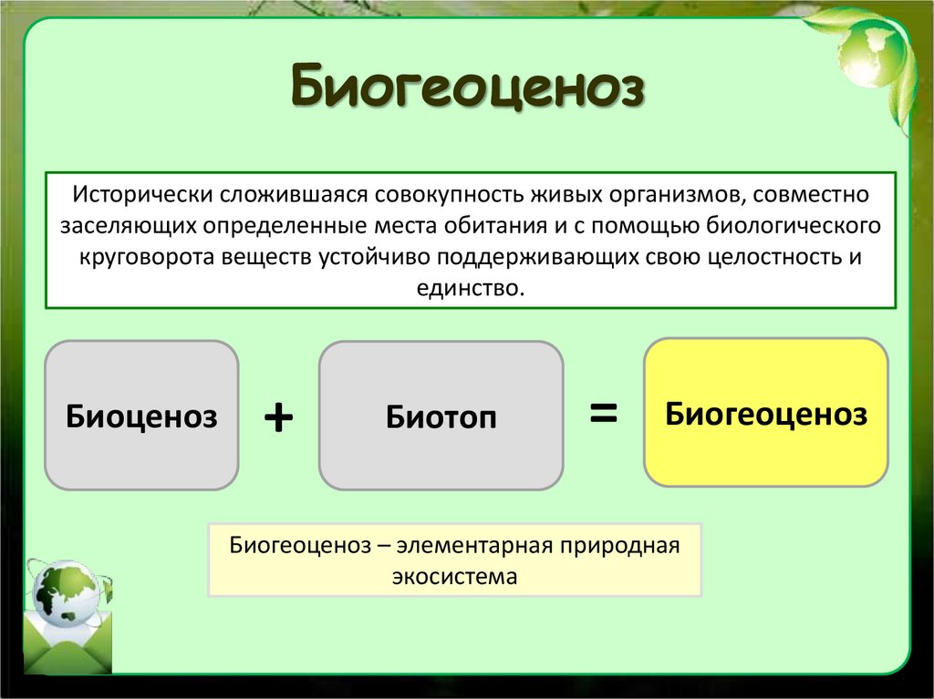 Биогеоценоз