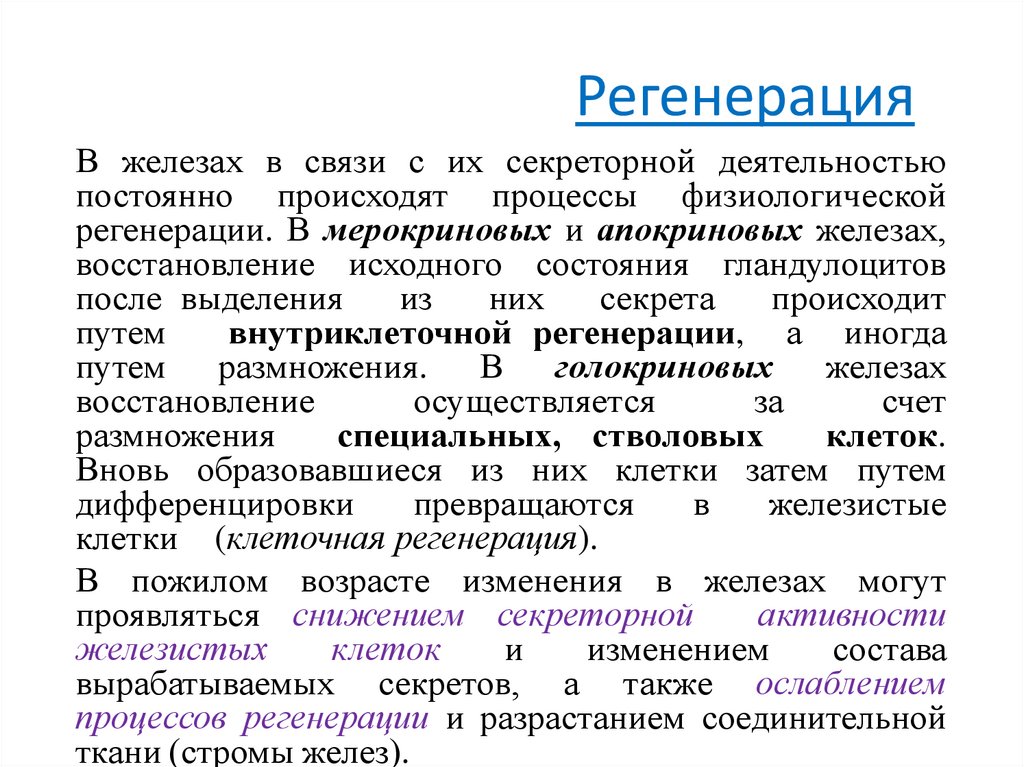 Регенерация