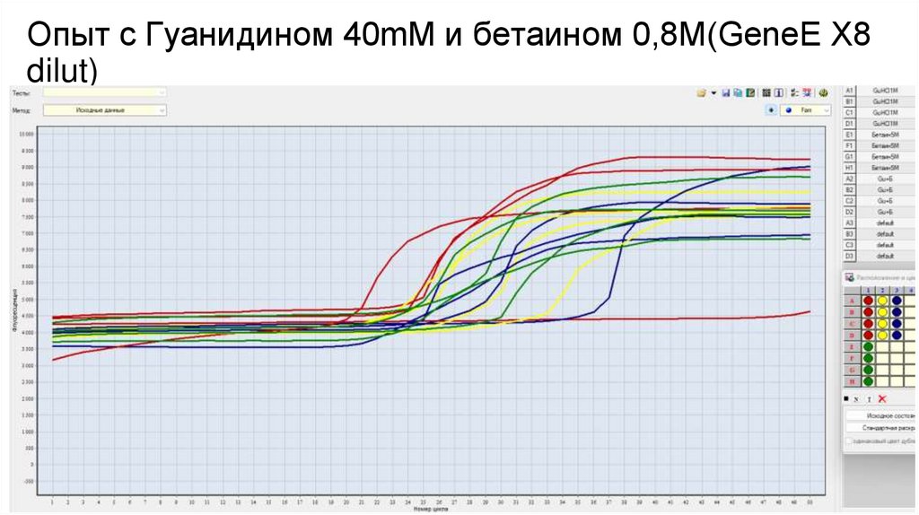 Опыт с Гуанидином 40mM и бетаином 0,8M(GeneE X8 dilut)