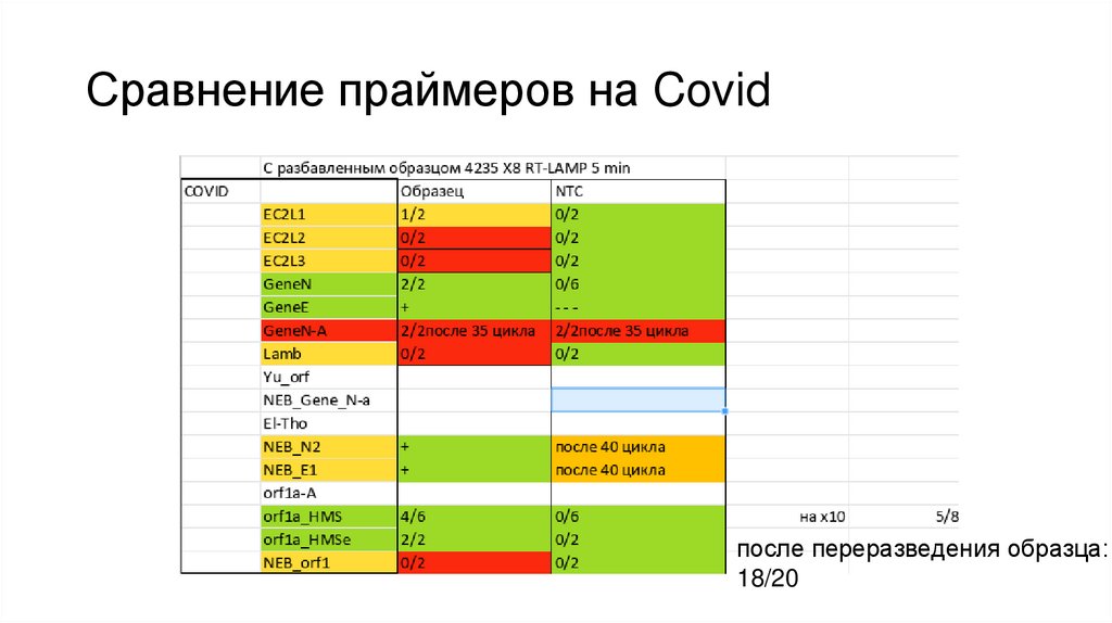 Сравнение праймеров на Covid