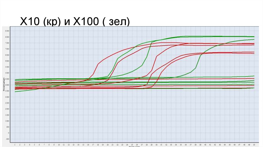 X10 (кр) и X100 ( зел)