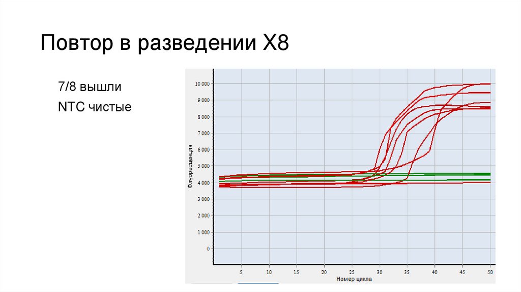 Повтор в разведении X8