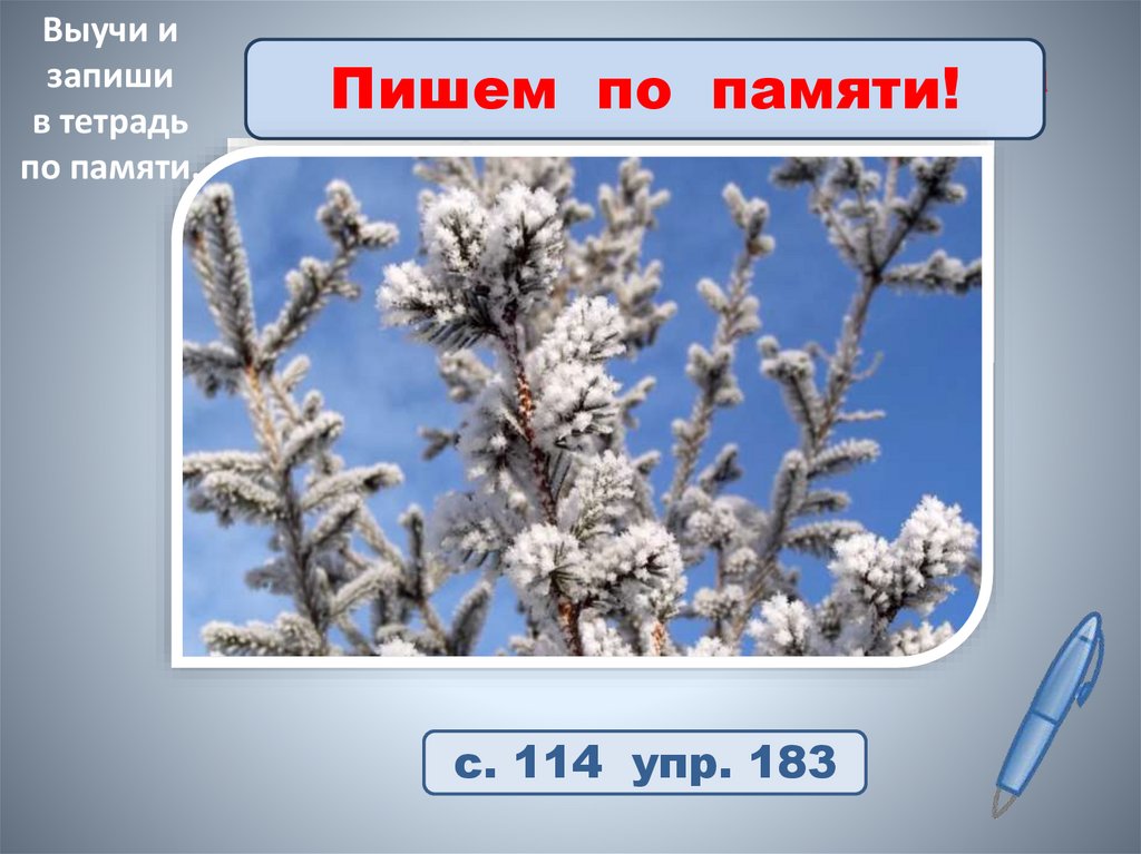 Поэтическая страничка