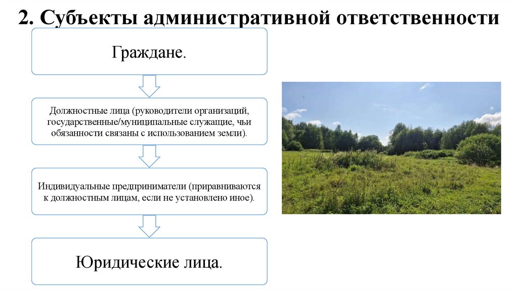 2. Субъекты административной ответственности