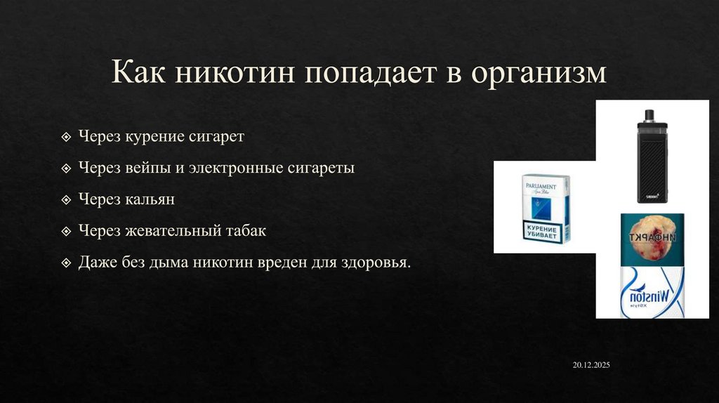 Как никотин попадает в организм