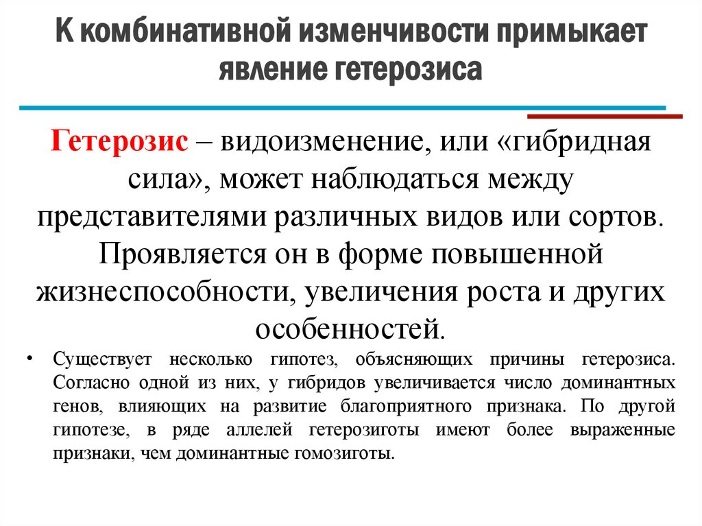 К комбинативной изменчивости примыкает явление гетерозиса