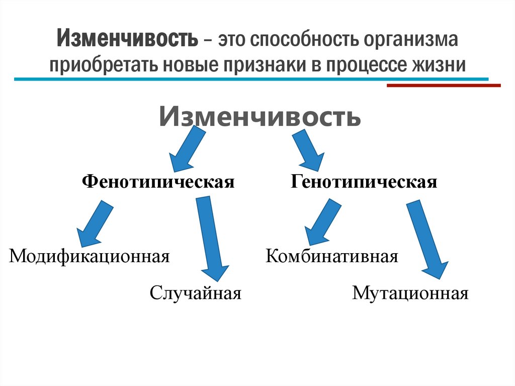 Изменчивость – это способность организма приобретать новые признаки в процессе жизни