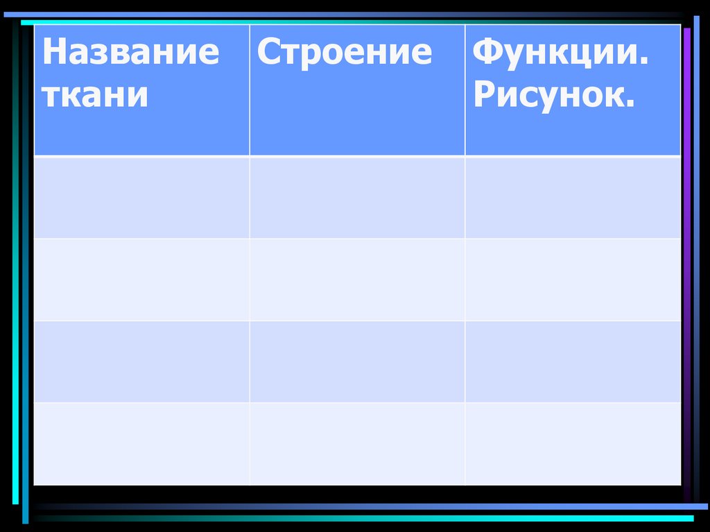 СПИННОЙ МОЗГ