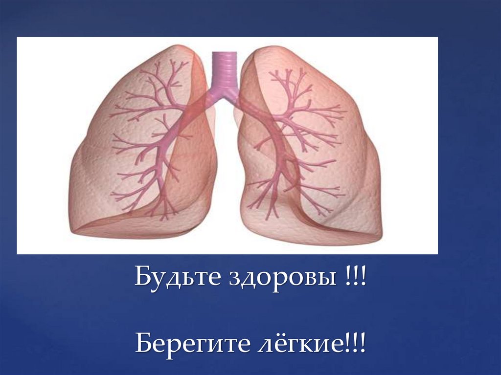 Будьте здоровы !!! Берегите лёгкие!!!
