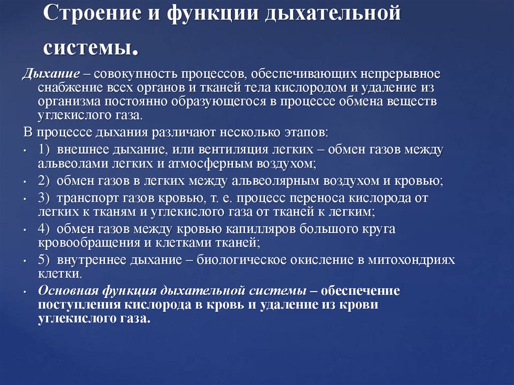 Строение и функции дыхательной системы.