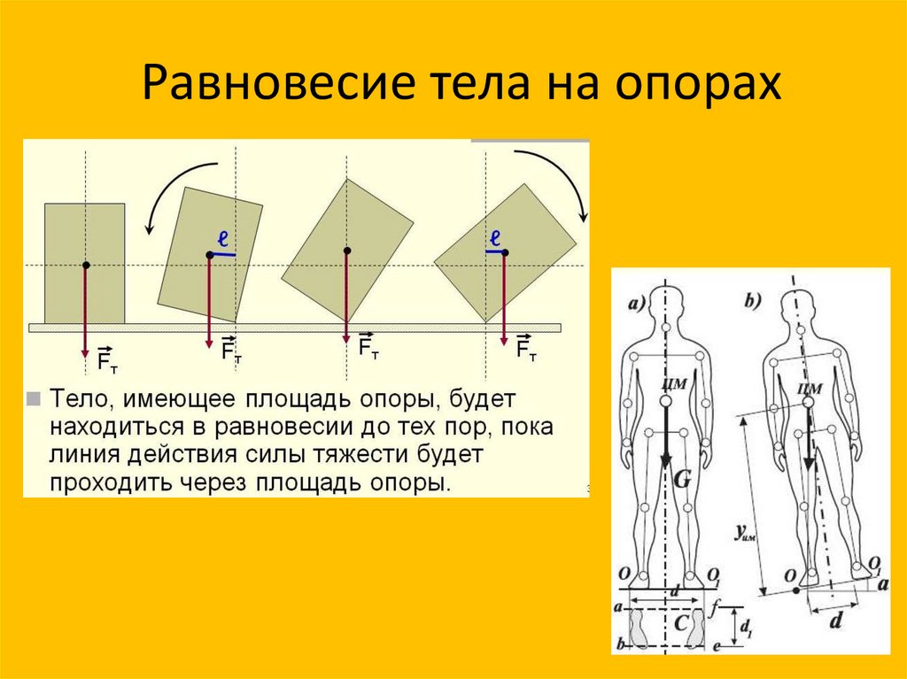 Равновесие тела на опорах