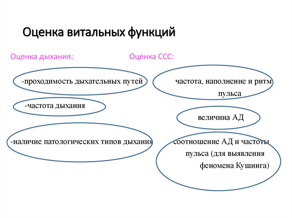 Оценка витальных функций
