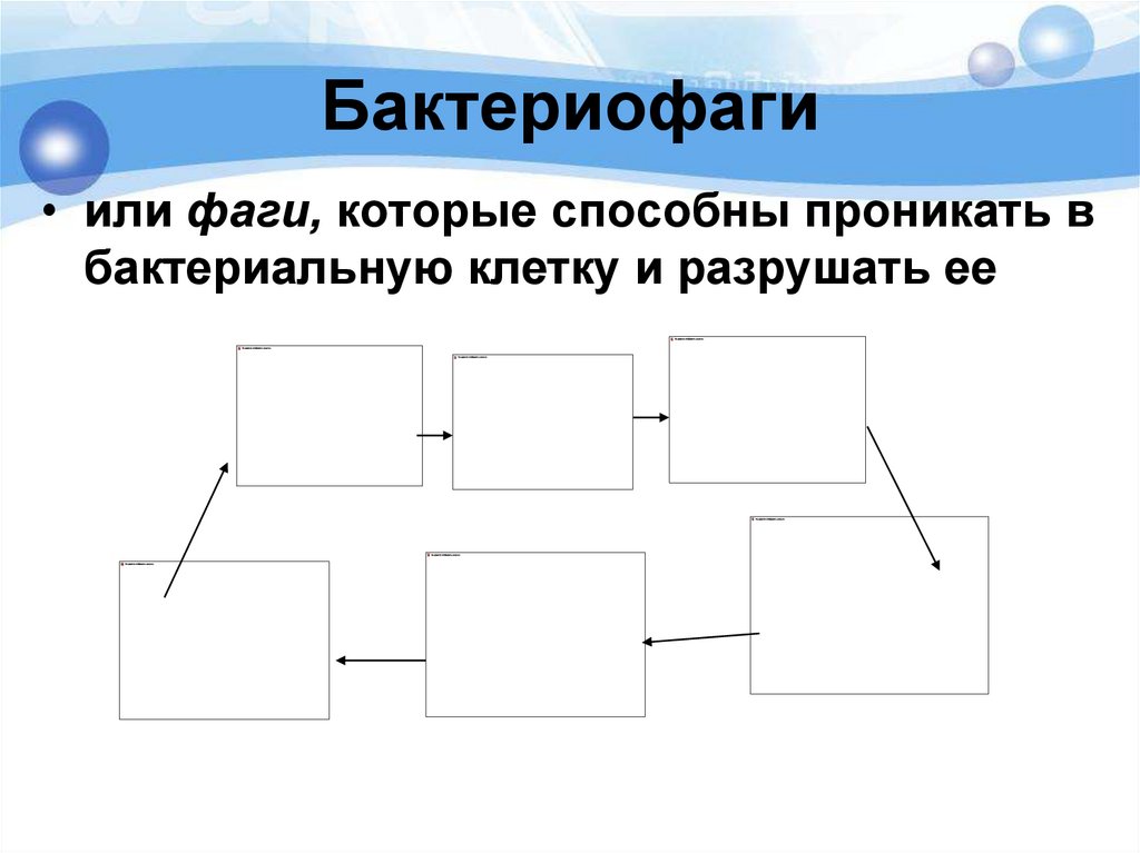 Бактериофаги