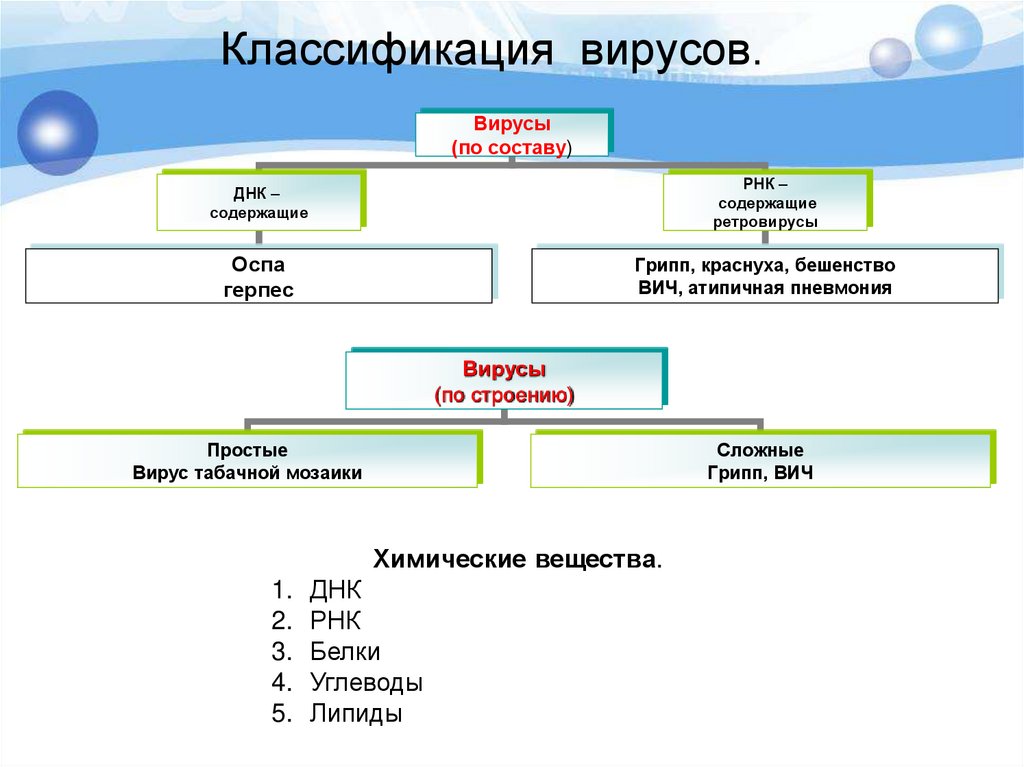 Классификация вирусов.