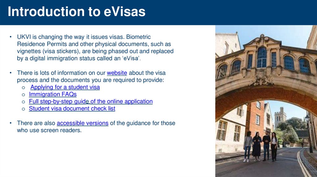 Introduction to eVisas