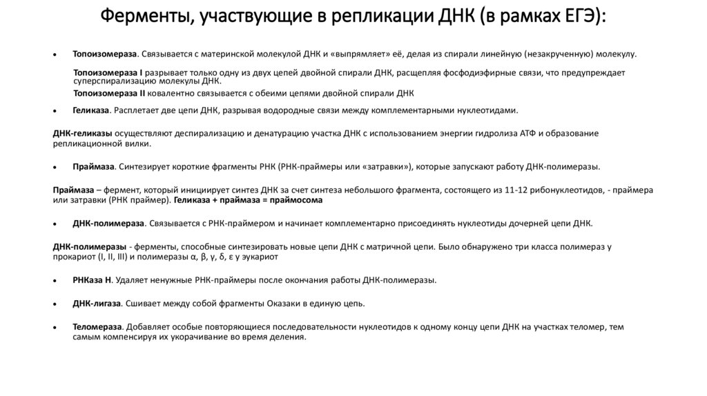 Ферменты, участвующие в репликации ДНК (в рамках ЕГЭ):