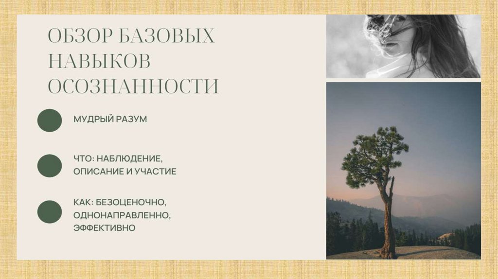 Эмоциональный интеллект: значимость и развитие