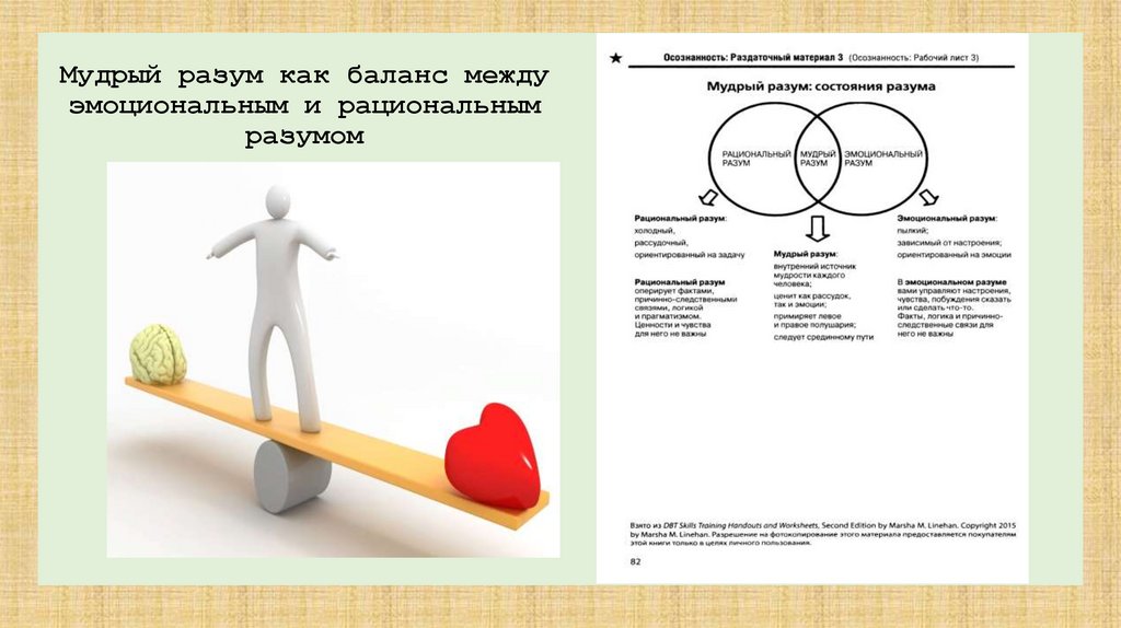 Мудрый разум как баланс между эмоциональным и рациональным разумом