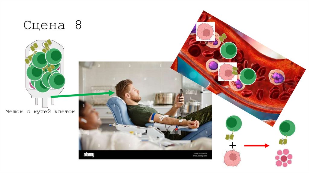 Сцена 8