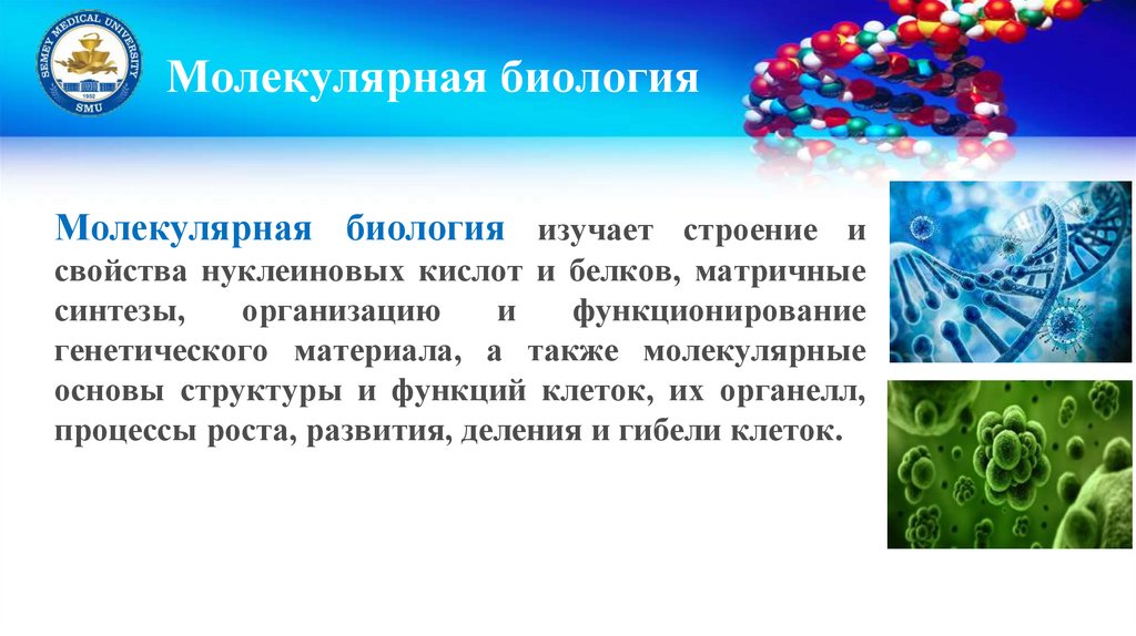 Молекулярная биология