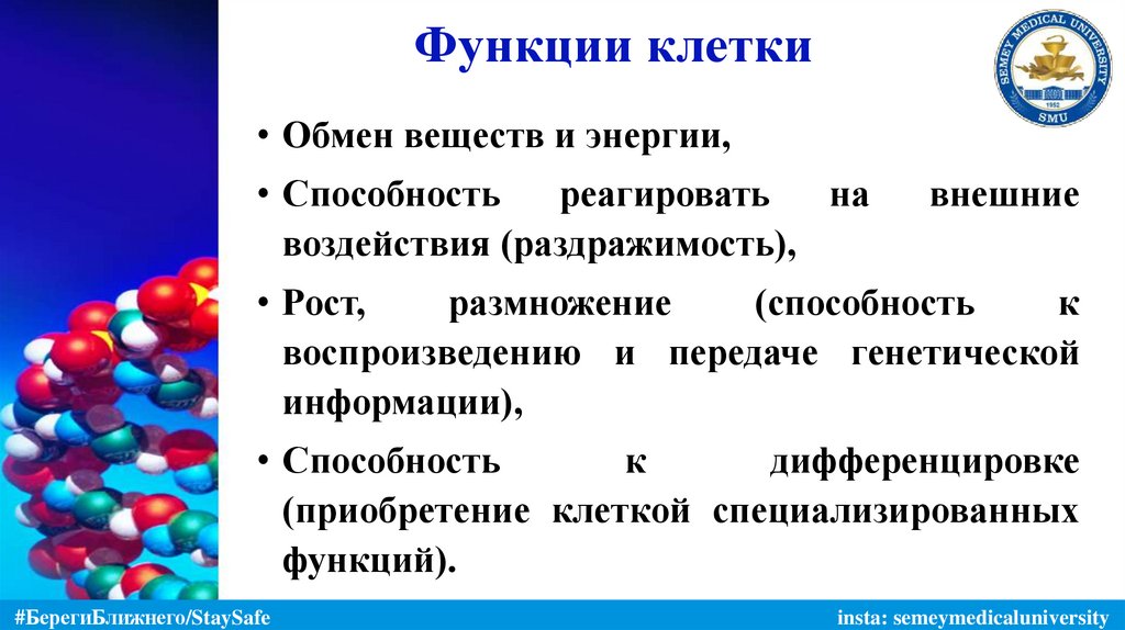 Функции клетки