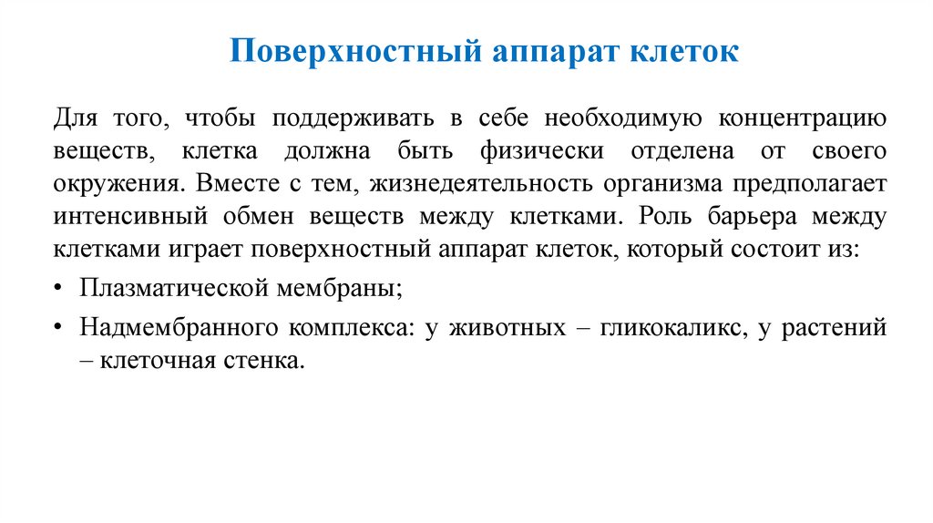 Поверхностный аппарат клеток