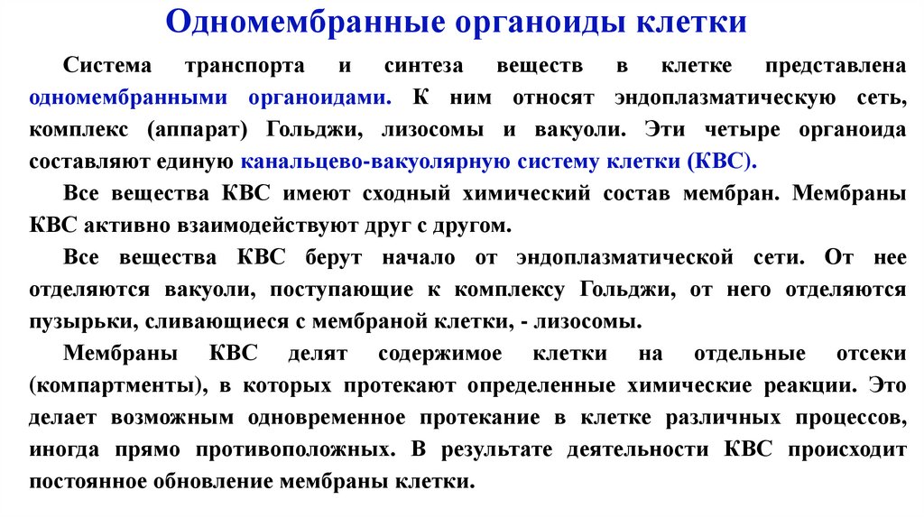 Одномембранные органоиды клетки