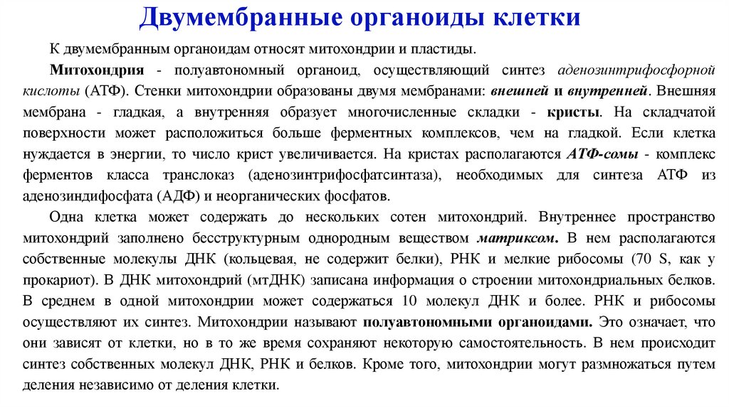 Двумембранные органоиды клетки