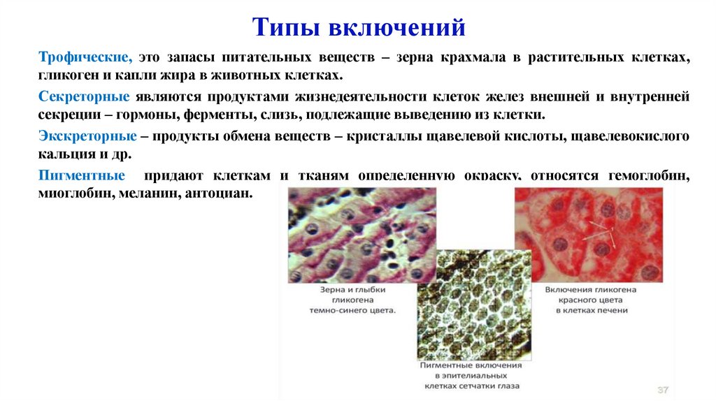 Типы включений