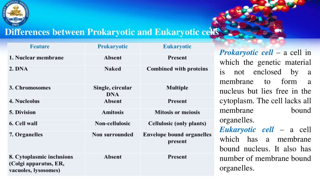Differences between Prokaryotic and Eukaryotic cells