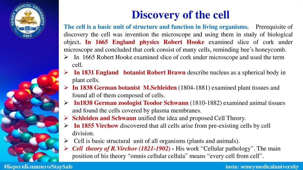 Discovery of the cell