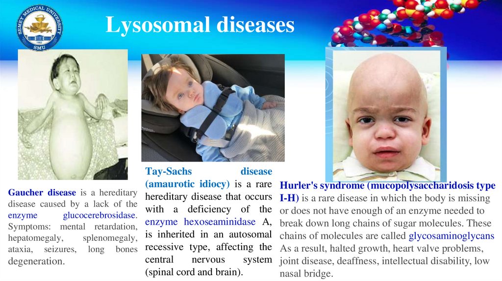 Lysosomal diseases