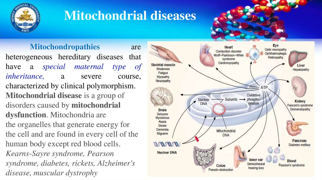 Mitochondrial diseases