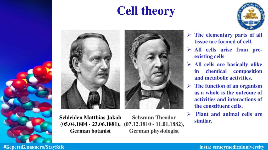 Cell theory
