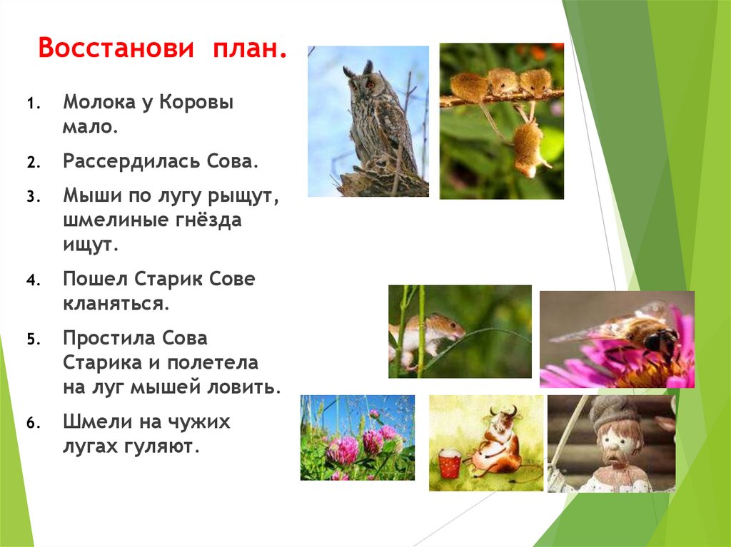 Восстанови план.