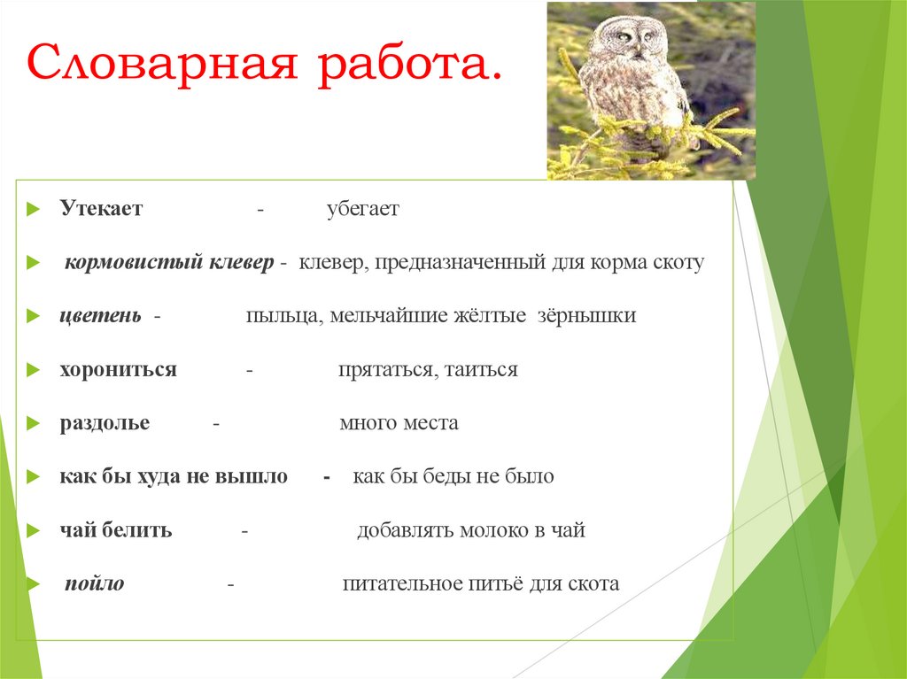 Словарная работа.