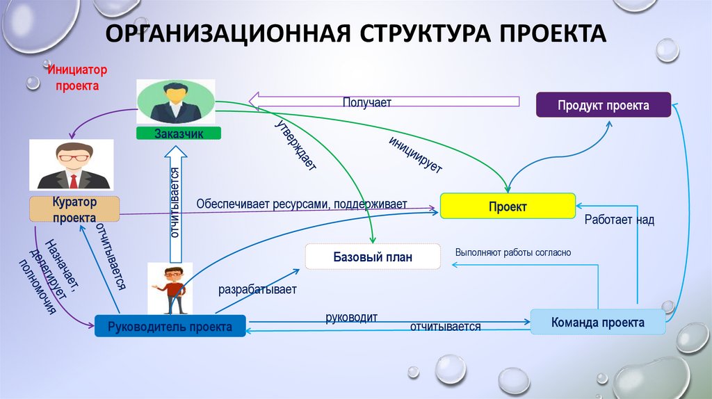 Организационная структура проекта