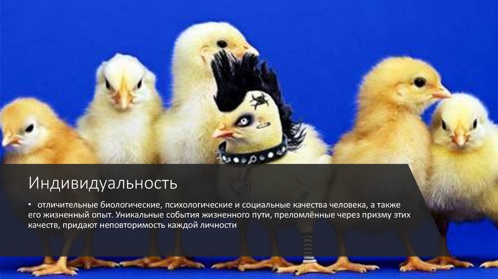 Индивидуальность