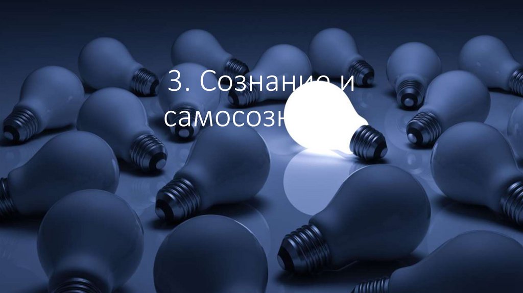 3. Сознание и самосознание