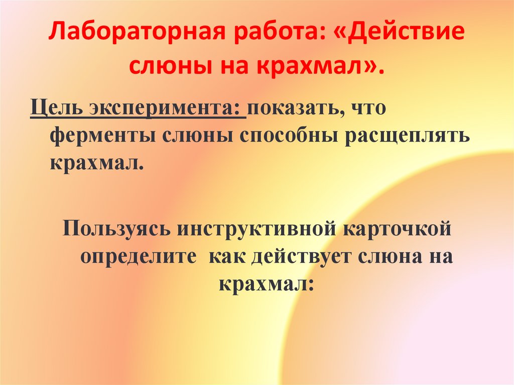 Лабораторная работа: «Действие слюны на крахмал».