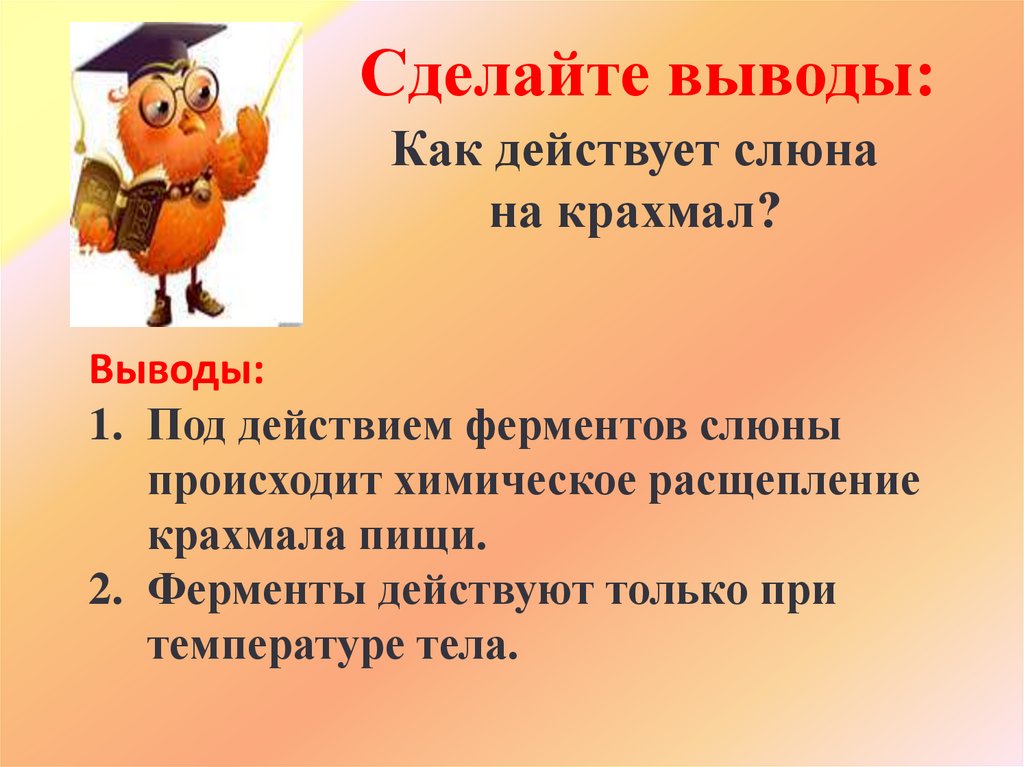 Сделайте выводы: