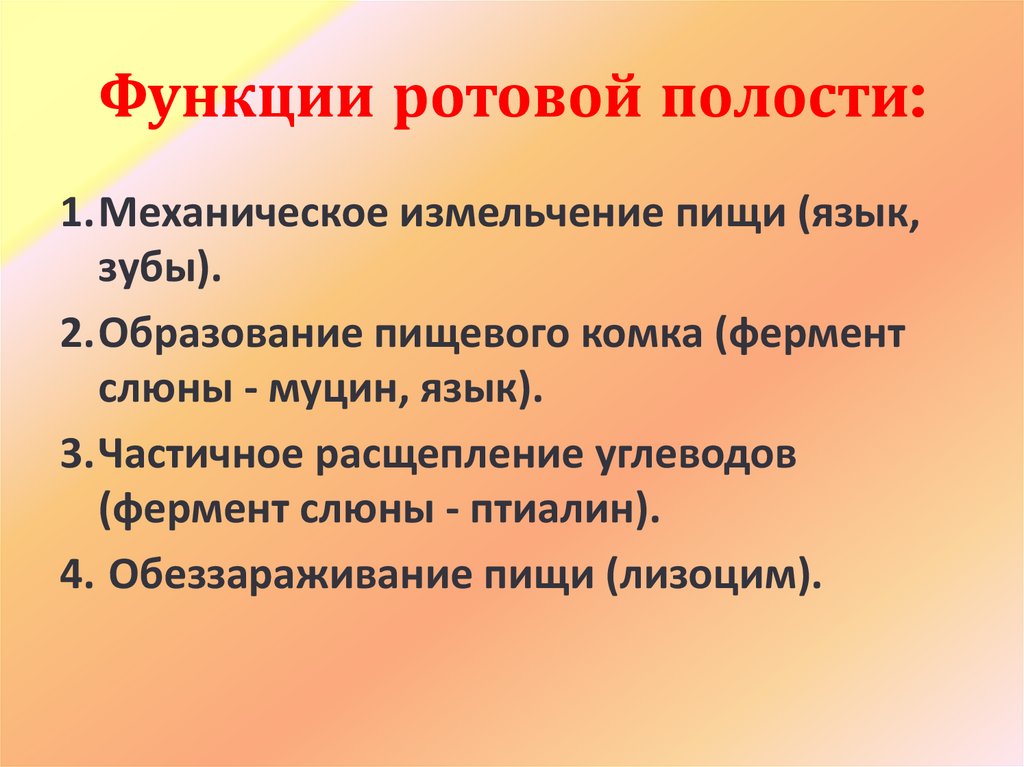 Функции ротовой полости: