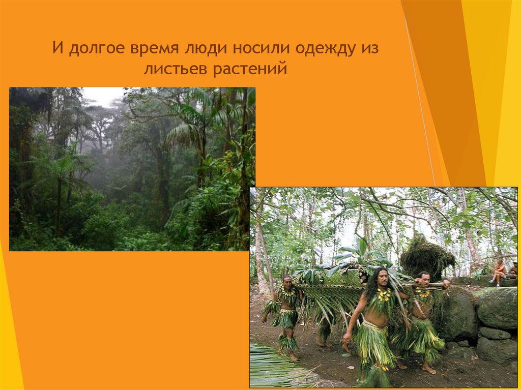 И долгое время люди носили одежду из листьев растений