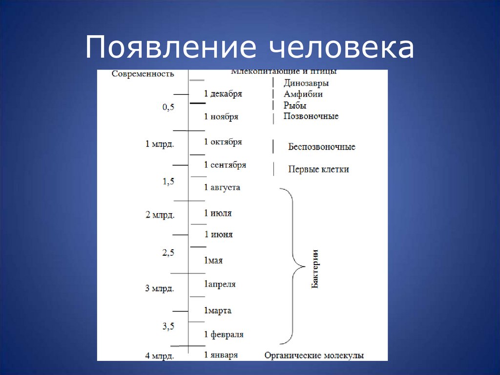 Появление человека