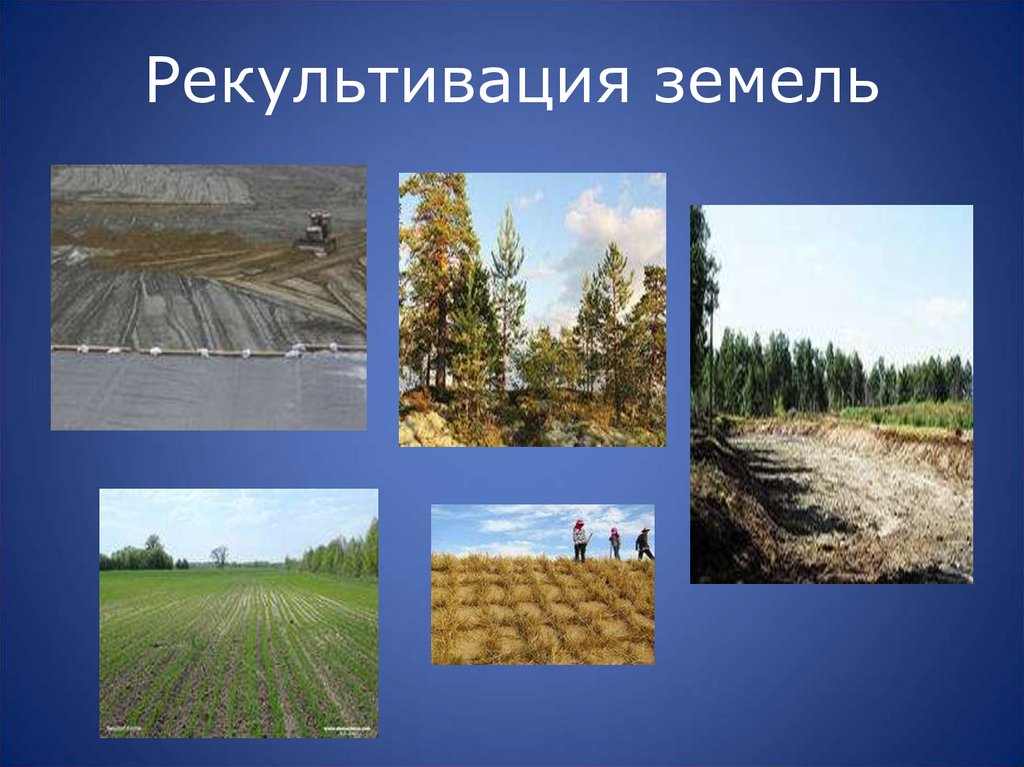 Рекультивация земель