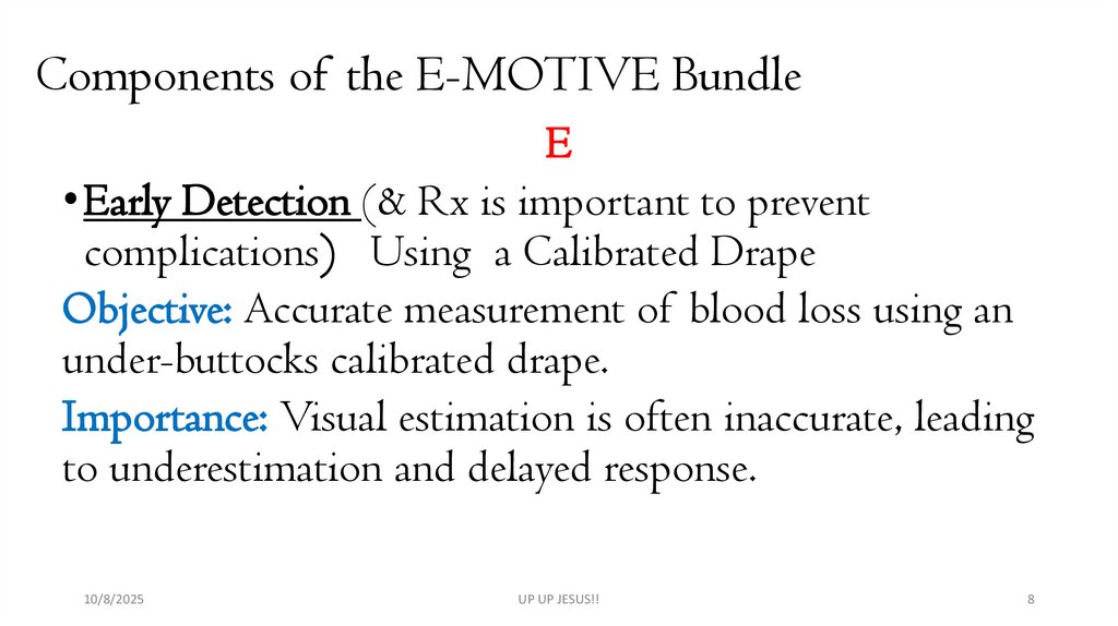 Components of the E-MOTIVE Bundle