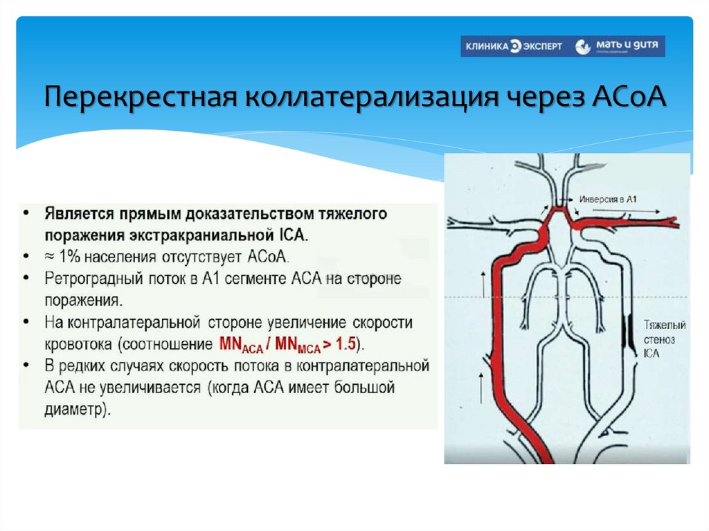 Перекрестная коллатерализация через АСоА